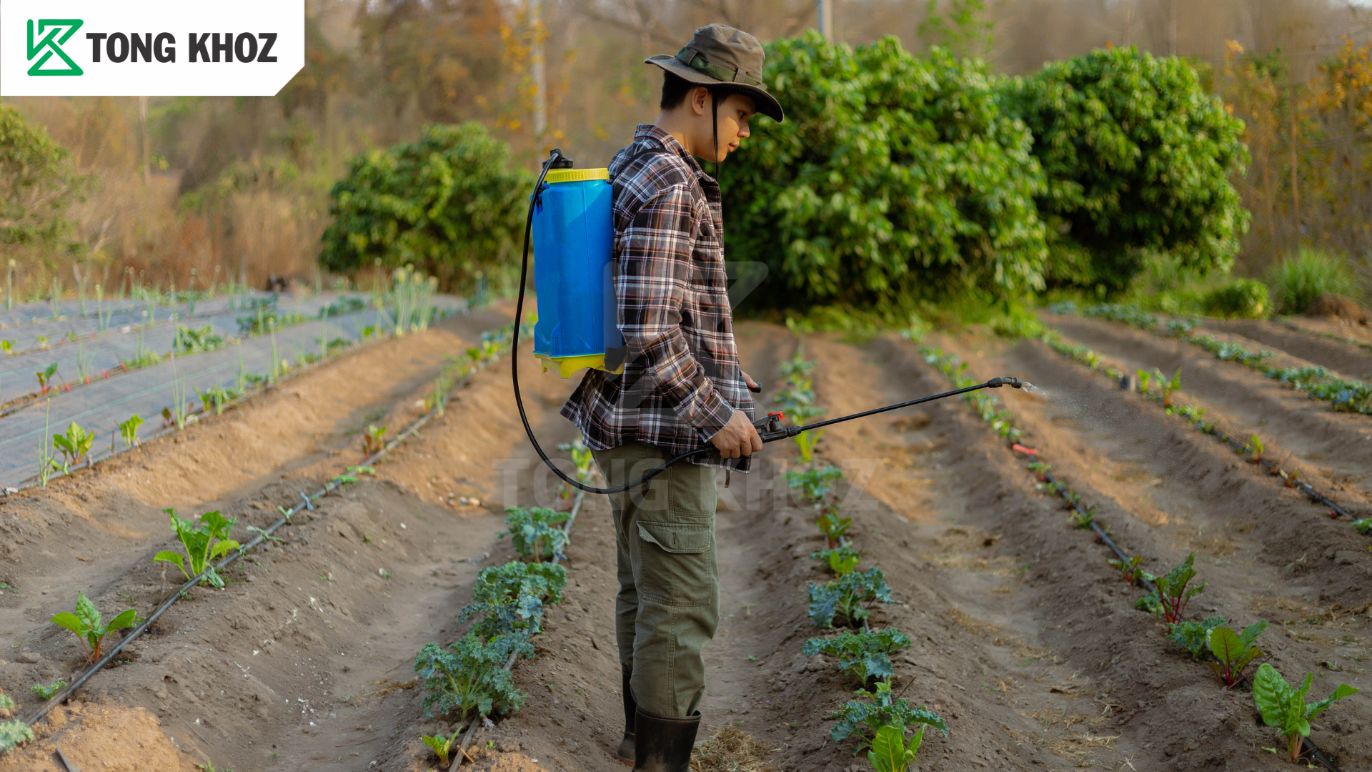 Biện pháp phòng trừ 