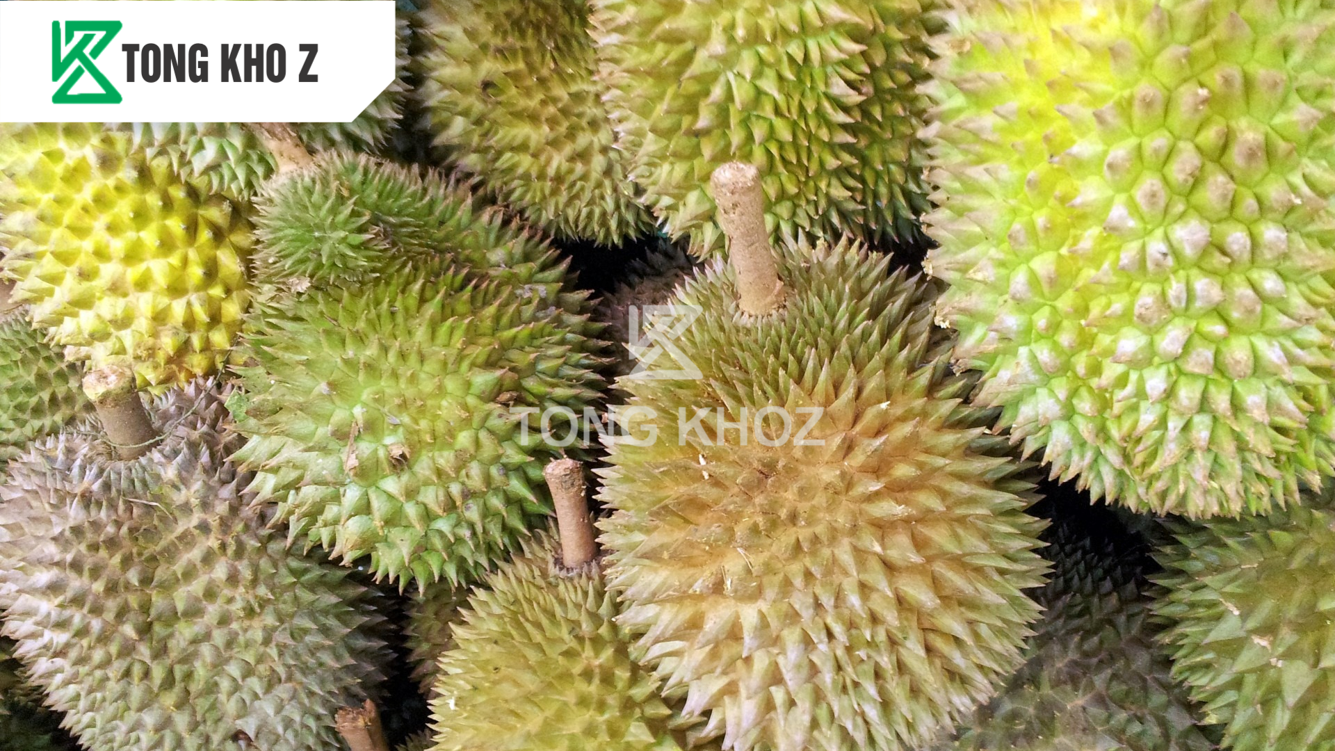 Các giống sầu riêng hiện nay