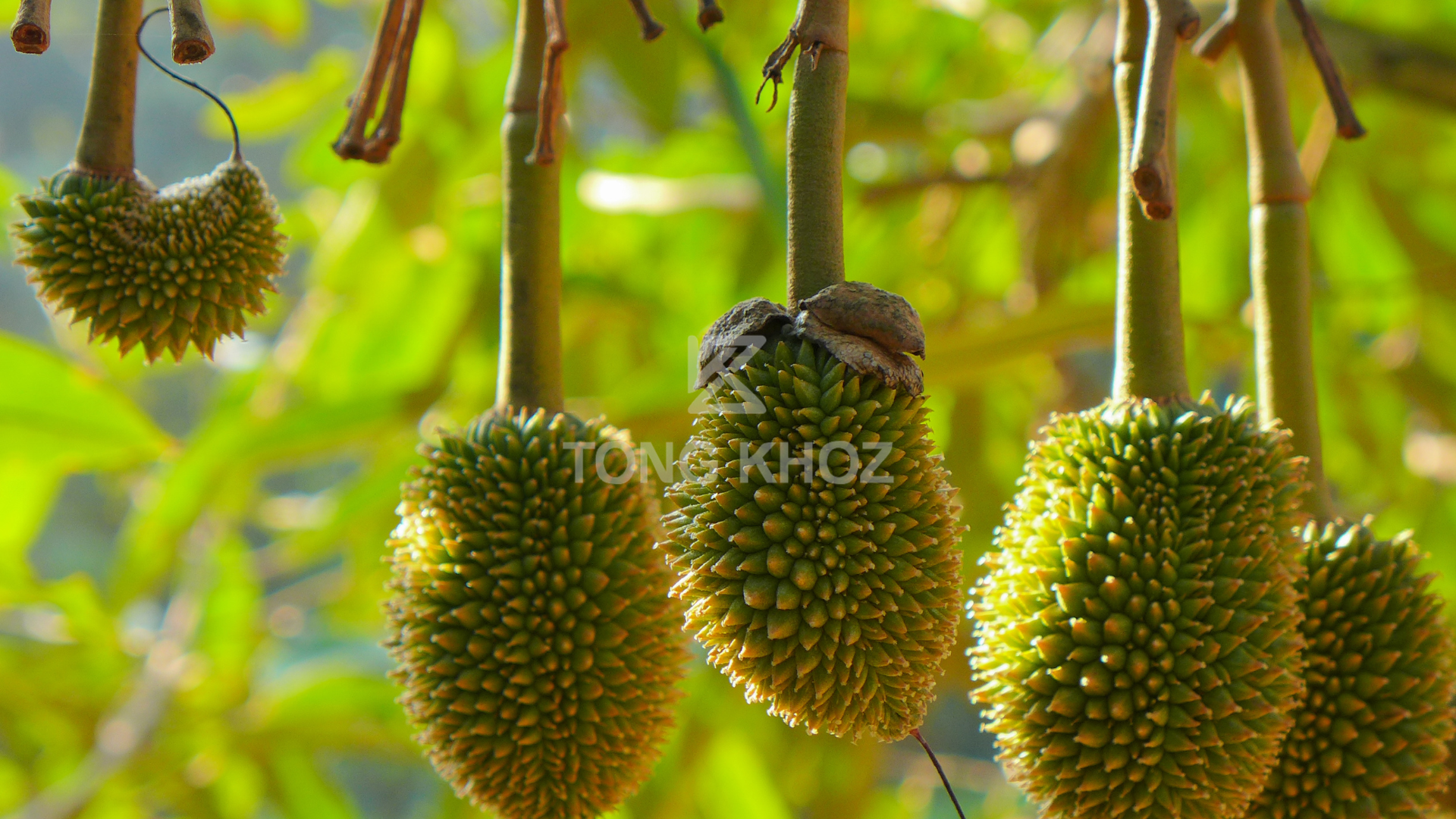 Câu hỏi thường gặp