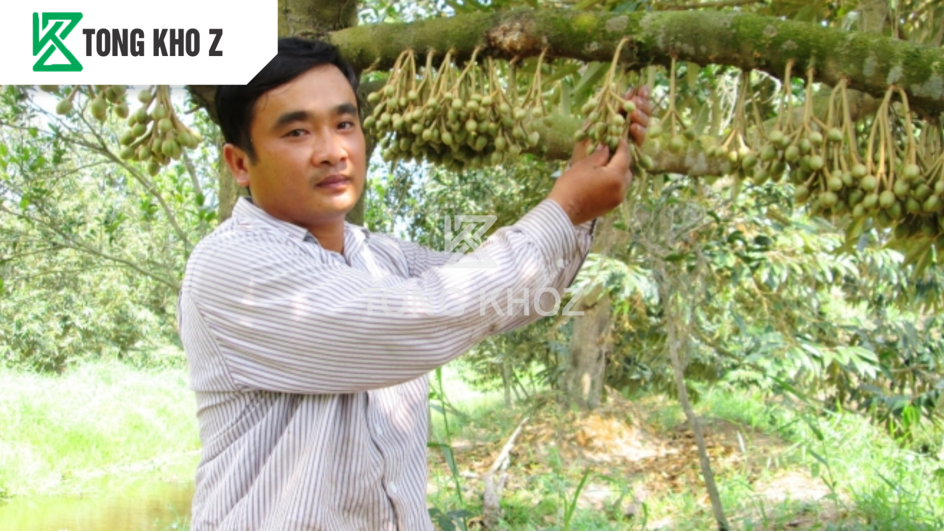 Câu hỏi thường gặp 