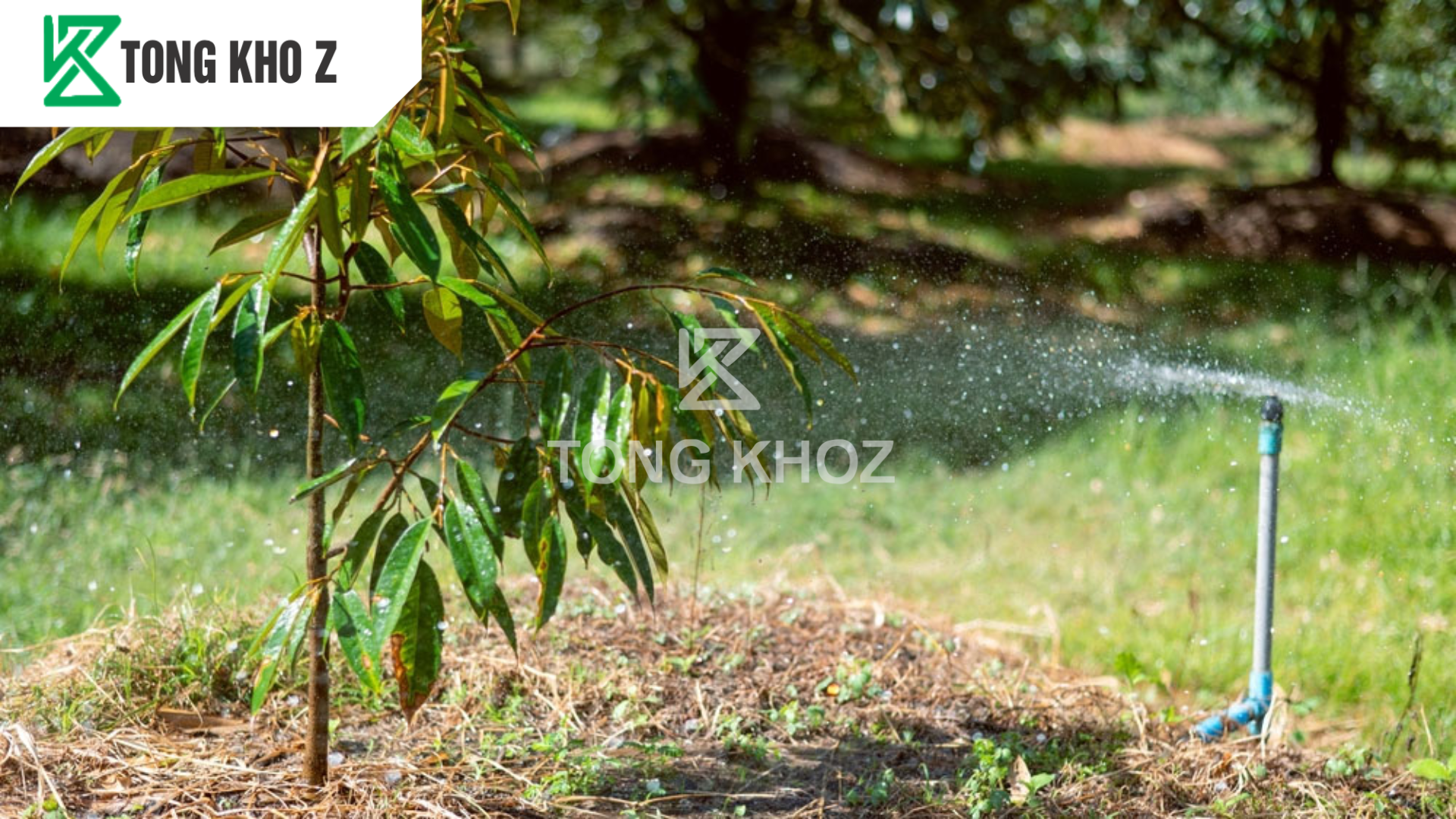 Câu hỏi thường gặp 