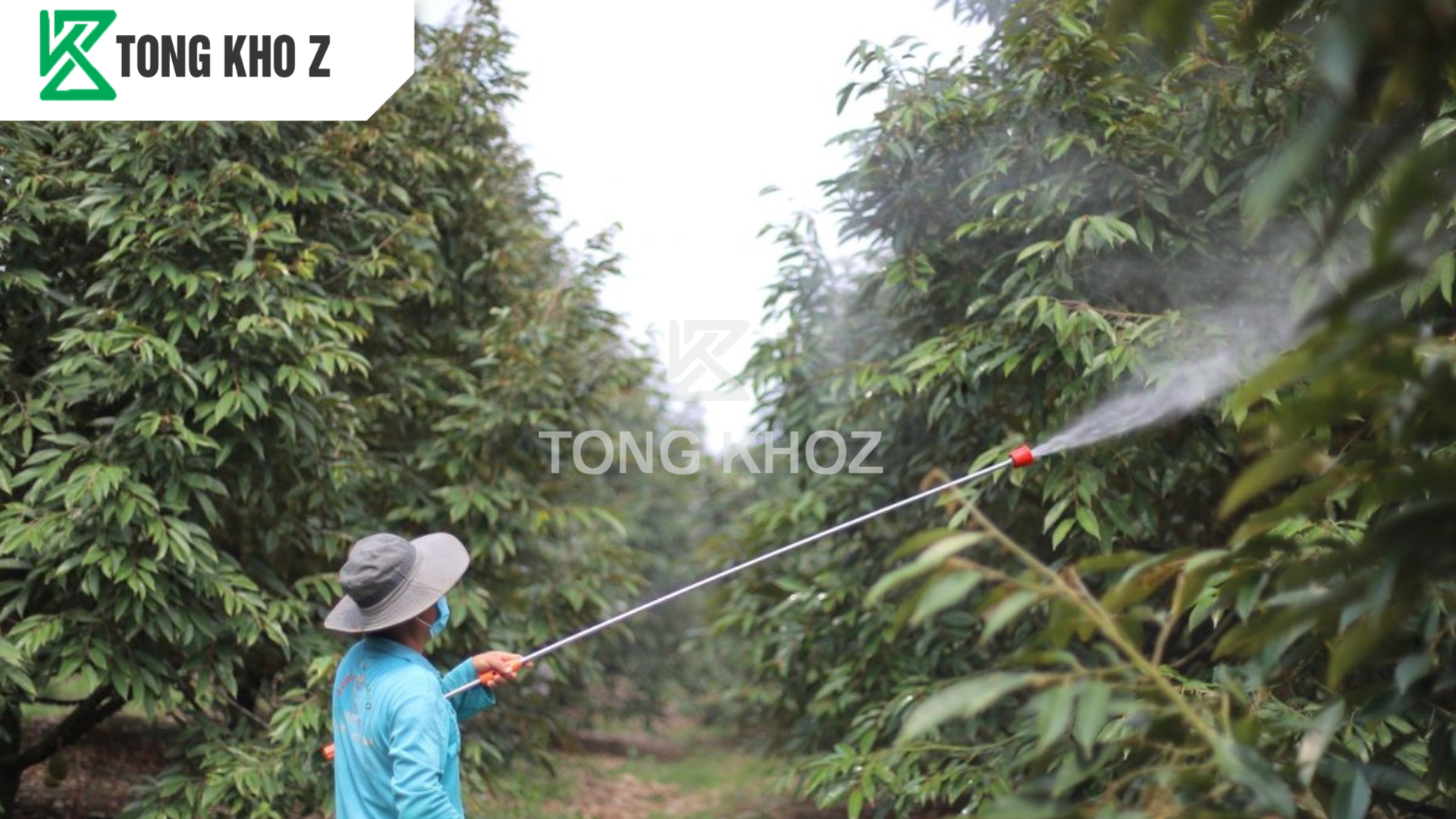 Hướng dẫn sử dụng trọn bộ giải pháp hữu cơ cho sầu riêng 