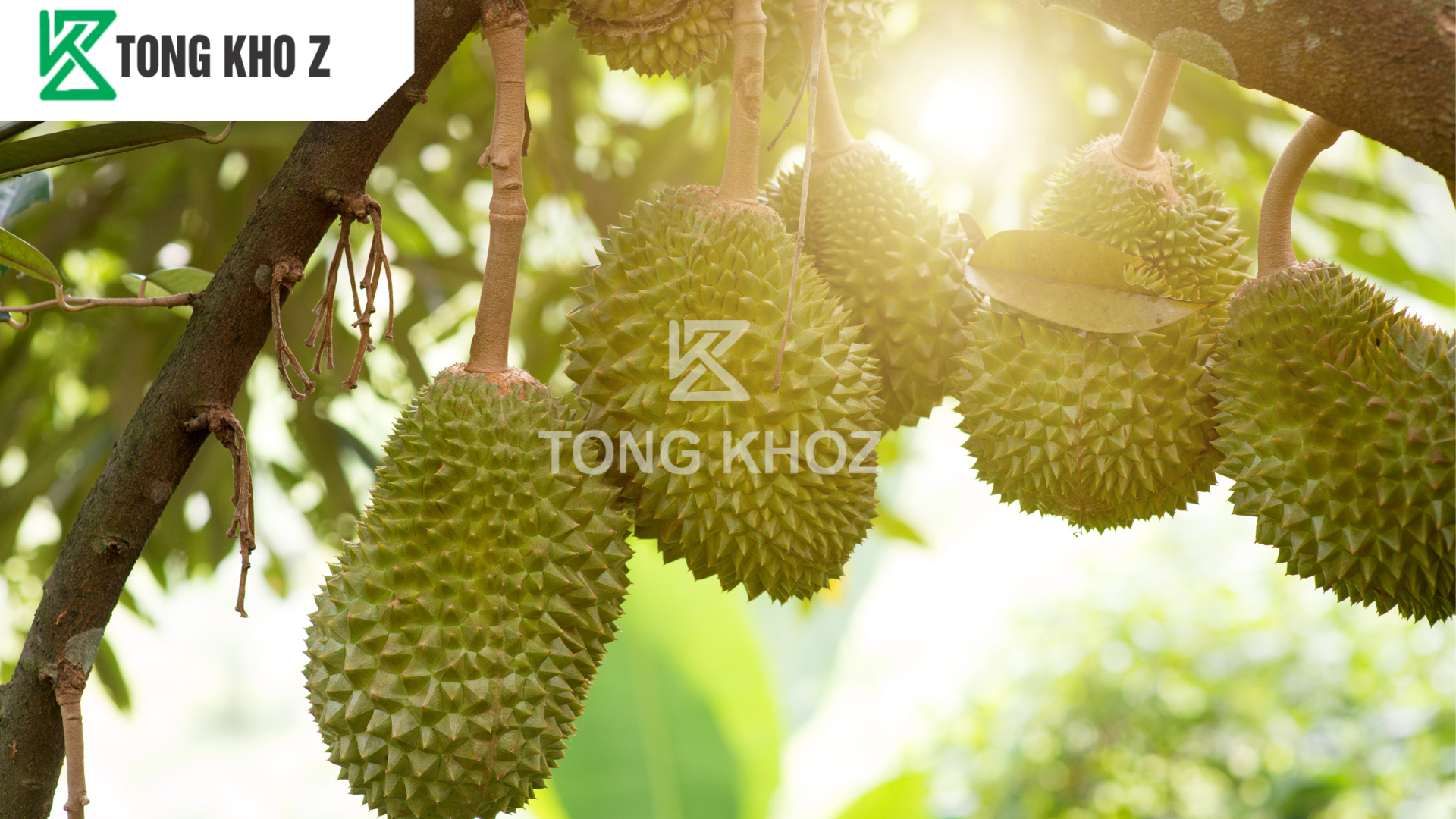 Phân bón chống rụng trái là gì?