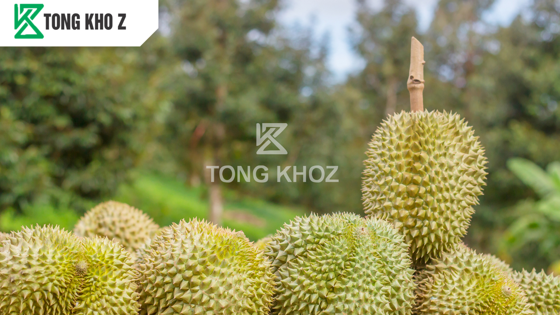 Phân bón dưỡng trái là gì?