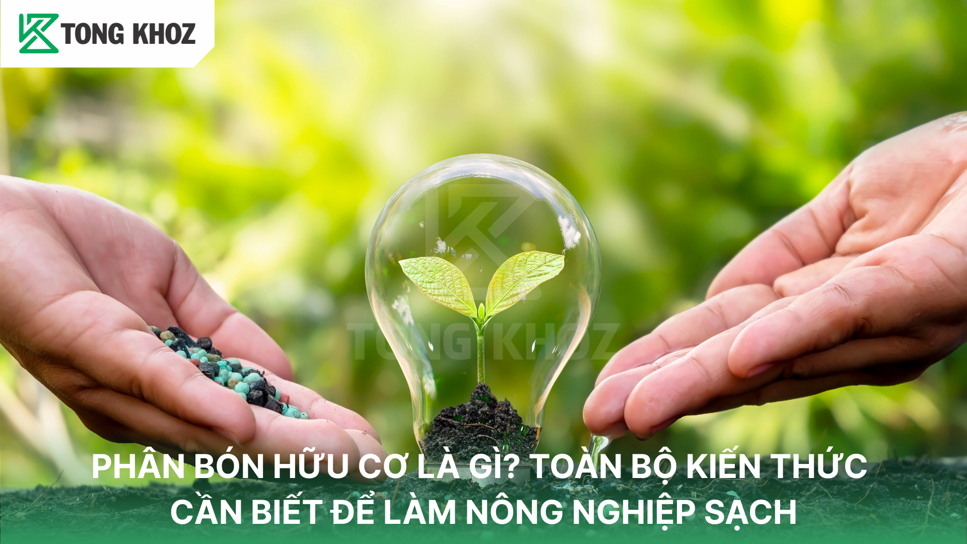 Vì sao nên sử dụng phân bón hữu cơ 